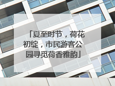 夏至时节，荷花初绽，市民游客公园寻觅荷香雅韵