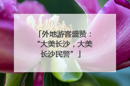 外地游客盛赞：“大美长沙，大美长沙民警”