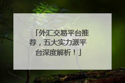 外汇交易平台推荐，五大实力派平台深度解析！
