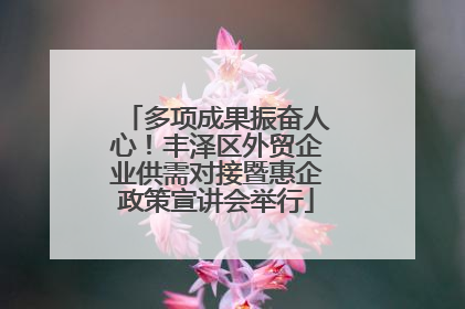 多项成果振奋人心！丰泽区外贸企业供需对接暨惠企政策宣讲会举行