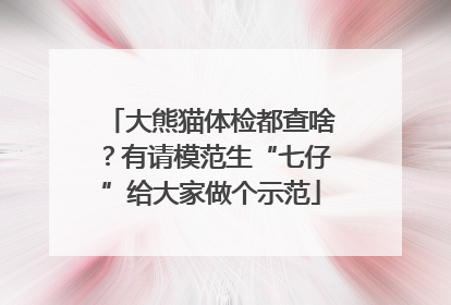 大熊猫体检都查啥？有请模范生“七仔”给大家做个示范