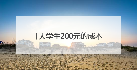 大学生200元的成本干了20亿的项目？