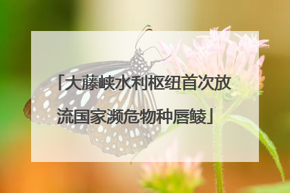 大藤峡水利枢纽首次放流国家濒危物种唇鲮
