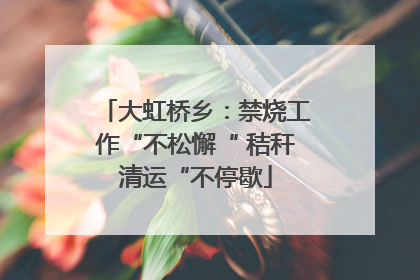 大虹桥乡：禁烧工作“不松懈“ 秸秆清运“不停歇