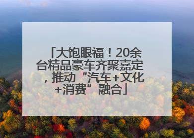 大饱眼福！20余台精品豪车齐聚嘉定，推动“汽车+文化+消费”融合