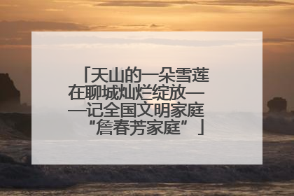 天山的一朵雪莲在聊城灿烂绽放——记全国文明家庭“詹春芳家庭”