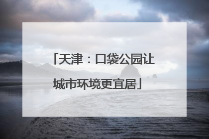 天津：口袋公园让城市环境更宜居