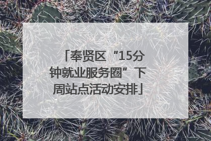 奉贤区“15分钟就业服务圈”下周站点活动安排