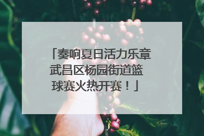 奏响夏日活力乐章 武昌区杨园街道篮球赛火热开赛！