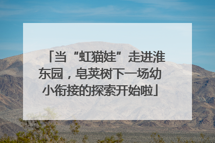 当“虹猫娃”走进淮东园，皂荚树下一场幼小衔接的探索开始啦