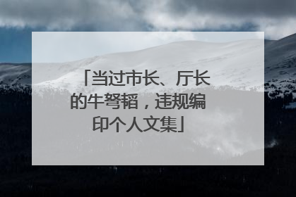 当过市长、厅长的牛弩韬，违规编印个人文集