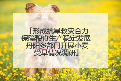 形成抗旱救灾合力 保障粮食生产稳定发展 丹阳多部门开展小麦受旱情况调研