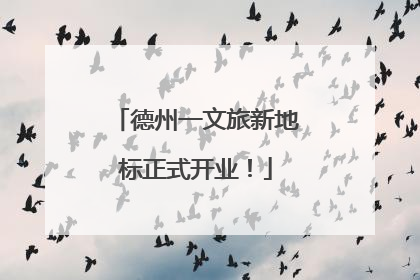 德州一文旅新地标正式开业！