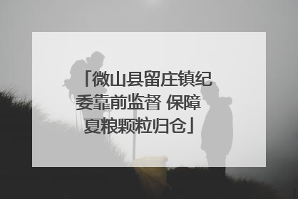 微山县留庄镇纪委靠前监督 保障夏粮颗粒归仓