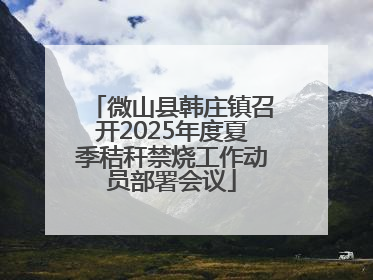 微山县韩庄镇召开2025年度夏季秸秆禁烧工作动员部署会议