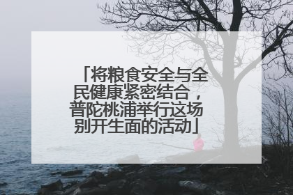 将粮食安全与全民健康紧密结合，普陀桃浦举行这场别开生面的活动