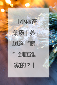 小丽逛菜场｜苏超这“鹅”到底谁家的？