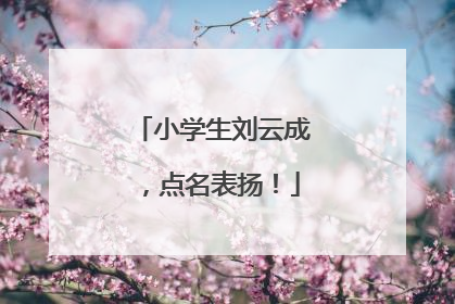 小学生刘云成，点名表扬！