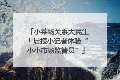 小菜场关系大民生！晨报小记者体验“小小市场监管员”