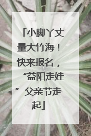 小脚丫丈量大竹海！快来报名，“益阳走娃”父亲节走起