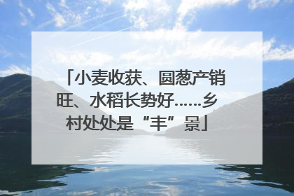 小麦收获、圆葱产销旺、水稻长势好……乡村处处是“丰”景