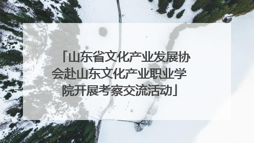 山东省文化产业发展协会赴山东文化产业职业学院开展考察交流活动