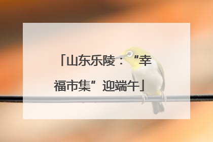 山东乐陵：“幸福市集”迎端午