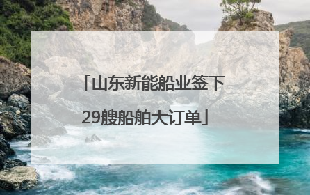 山东新能船业签下29艘船舶大订单