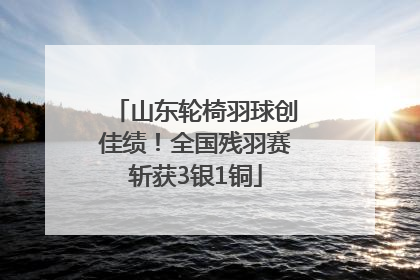 山东轮椅羽球创佳绩！全国残羽赛斩获3银1铜