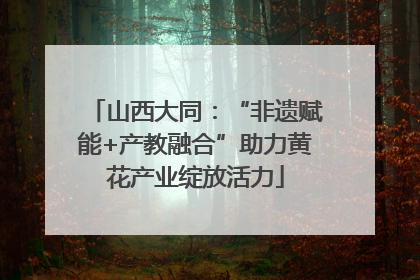 山西大同：“非遗赋能+产教融合”助力黄花产业绽放活力