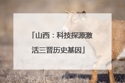 山西：科技探源激活三晋历史基因