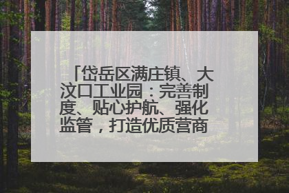 岱岳区满庄镇、大汶口工业园：完善制度、贴心护航、强化监管，打造优质营商“强磁场”