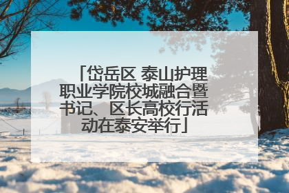 岱岳区 泰山护理职业学院校城融合暨书记、区长高校行活动在泰安举行