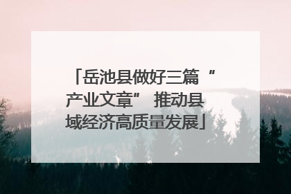 岳池县做好三篇“产业文章” 推动县域经济高质量发展