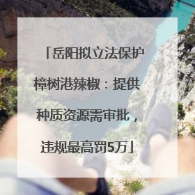 岳阳拟立法保护樟树港辣椒：提供种质资源需审批，违规最高罚5万