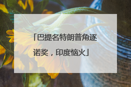 巴提名特朗普角逐诺奖，印度恼火
