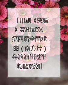 川剧《变脸》亮相武汉 第四届全国戏曲（南方片）会演演出过半频掀热潮