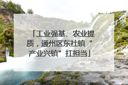 工业强基、农业提质，通州区东社镇“产业兴镇”扛担当