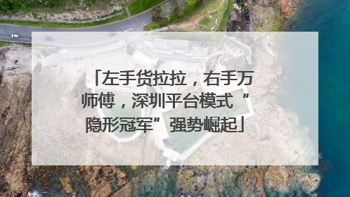 左手货拉拉，右手万师傅，深圳平台模式“隐形冠军”强势崛起