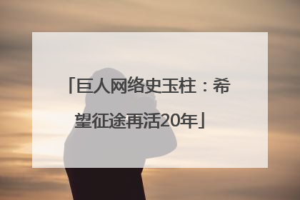 巨人网络史玉柱：希望征途再活20年
