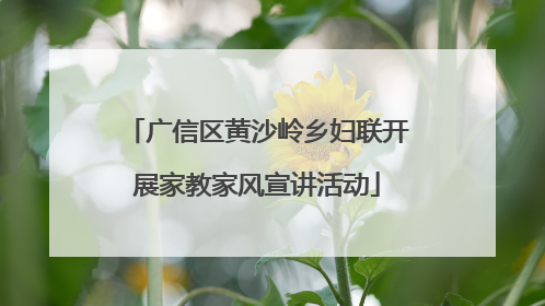 广信区黄沙岭乡妇联开展家教家风宣讲活动