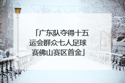 广东队夺得十五运会群众七人足球赛佛山赛区首金