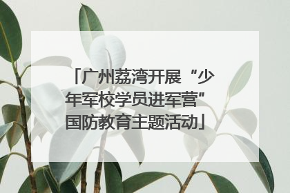 广州荔湾开展“少年军校学员进军营”国防教育主题活动