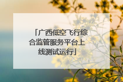 广西低空飞行综合监管服务平台上线测试运行
