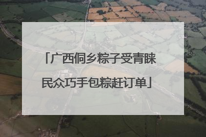 广西侗乡粽子受青睐 民众巧手包粽赶订单