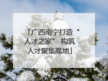 广西南宁打造“人才之家” 构筑人才聚集高地