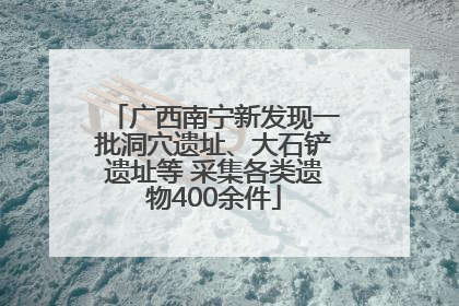 广西南宁新发现一批洞穴遗址、大石铲遗址等 采集各类遗物400余件