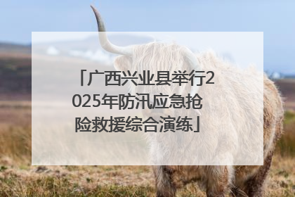 广西兴业县举行2025年防汛应急抢险救援综合演练