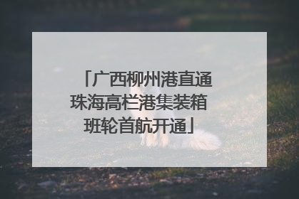 广西柳州港直通珠海高栏港集装箱班轮首航开通