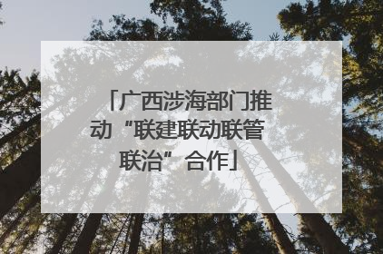 广西涉海部门推动“联建联动联管联治”合作